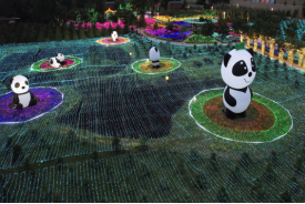 蘭州野生動(dòng)物園熊貓光影之夜盛夏開(kāi)啟306.png
