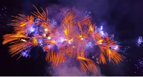 蘭州野生動(dòng)物園熊貓光影之夜盛夏開(kāi)啟507.png